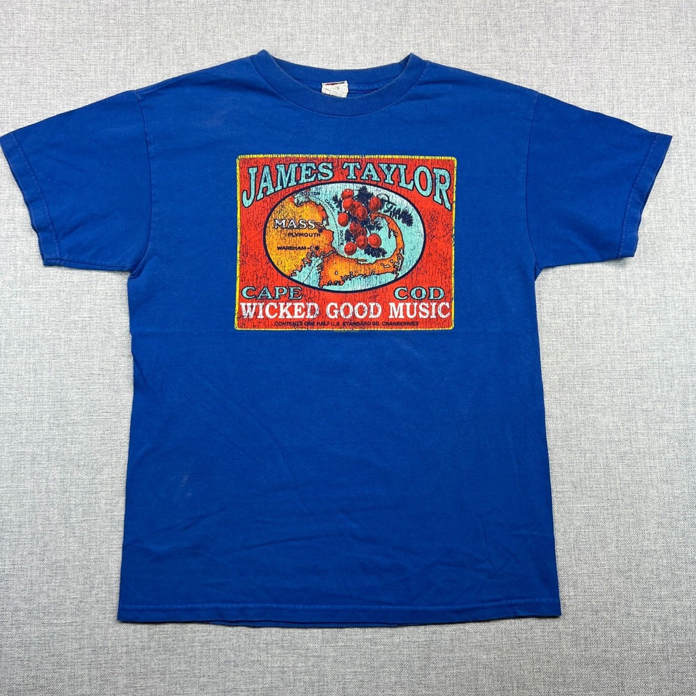 VTG Y2K James Taylor Cape Cod Wicked Good Music T Shirt Blue Alstyle Men Medium